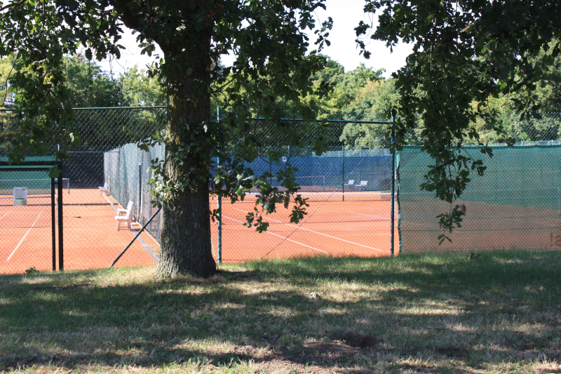 Ein Tennisplatz, der mit einem hellgrünen Belag und weißen Markierungen für das Spiel ausgestattet ist.