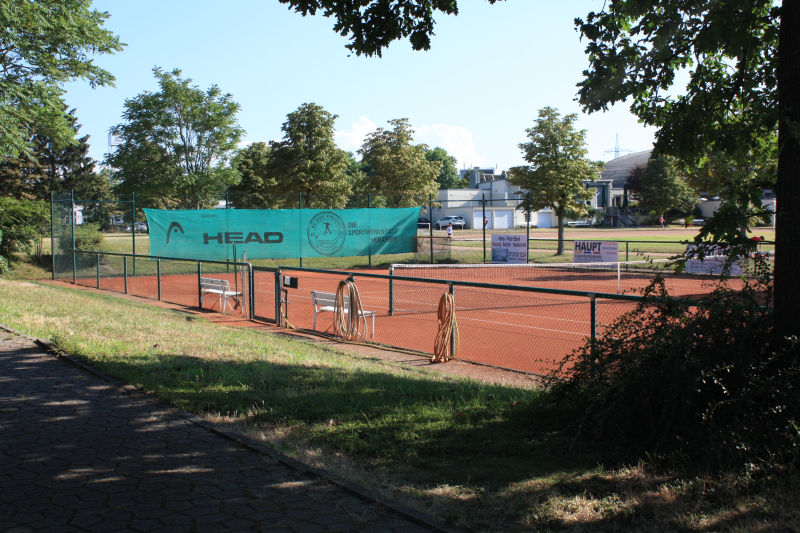 Ein Tennisplatz, der mit einem hellgrünen Belag und weißen Markierungen für das Spiel ausgestattet ist.